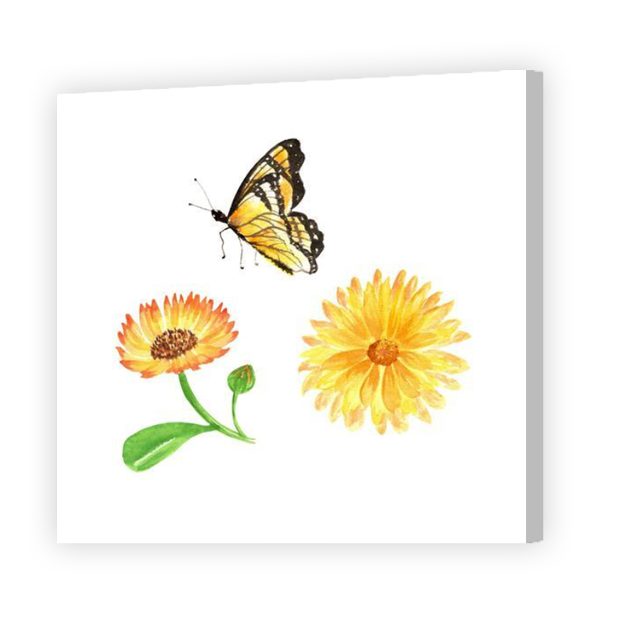 Thumbnail for Canvas - Coloured Canvas Wrap