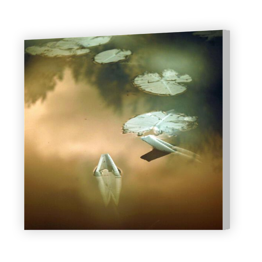 Thumbnail for Canvas - Coloured Canvas Wrap