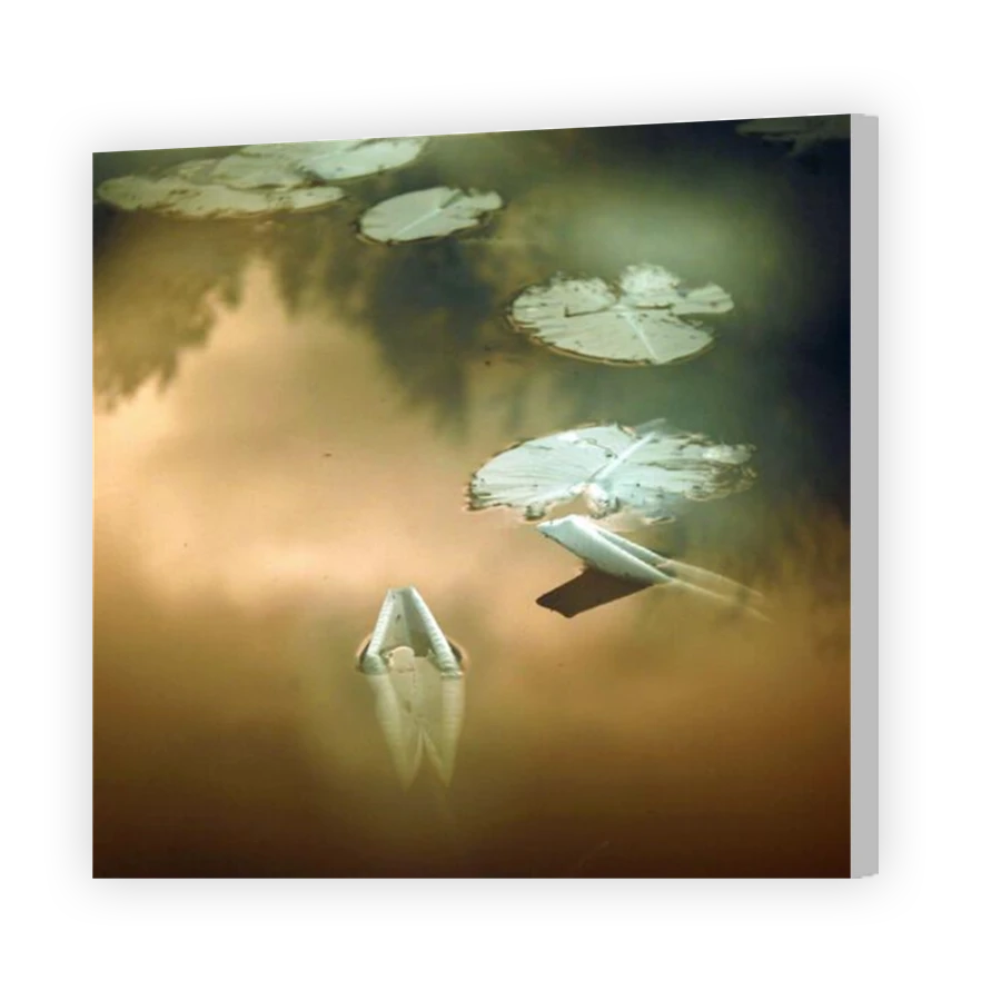 Thumbnail for Canvas - Coloured Canvas Wrap
