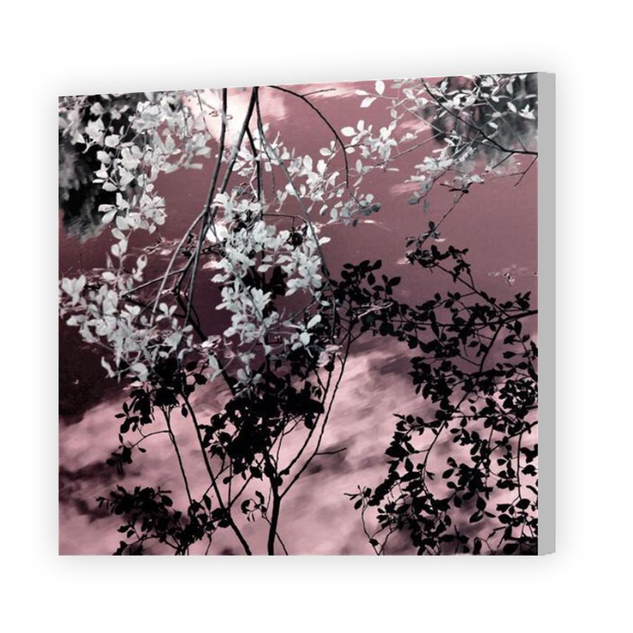 Thumbnail for Canvas - Coloured Canvas Wrap
