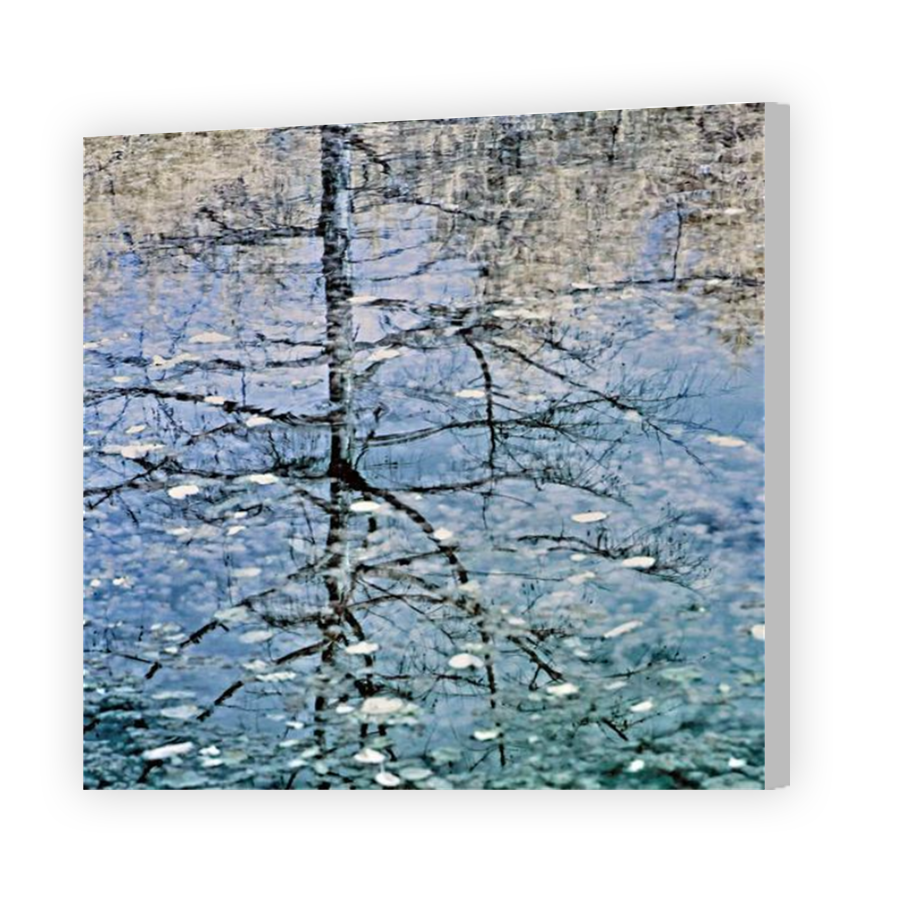 Thumbnail for Canvas - Coloured Canvas Wrap