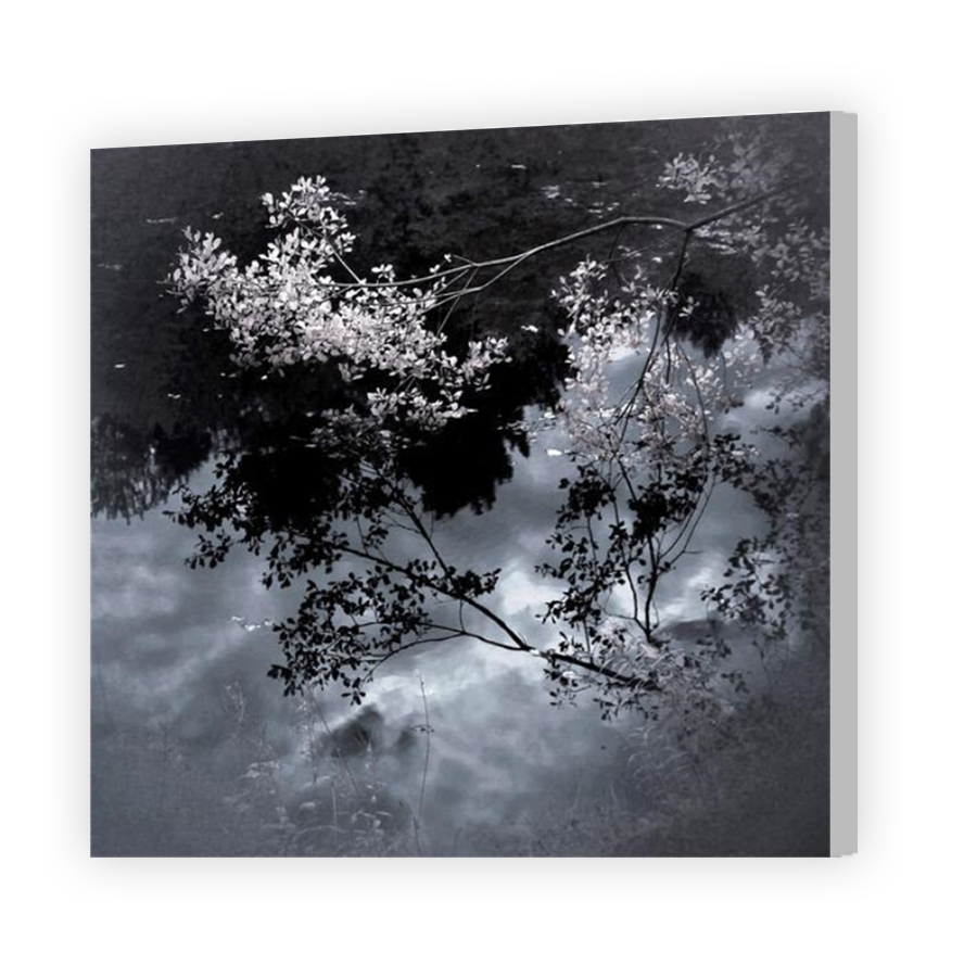 Thumbnail for Canvas - Coloured Canvas Wrap