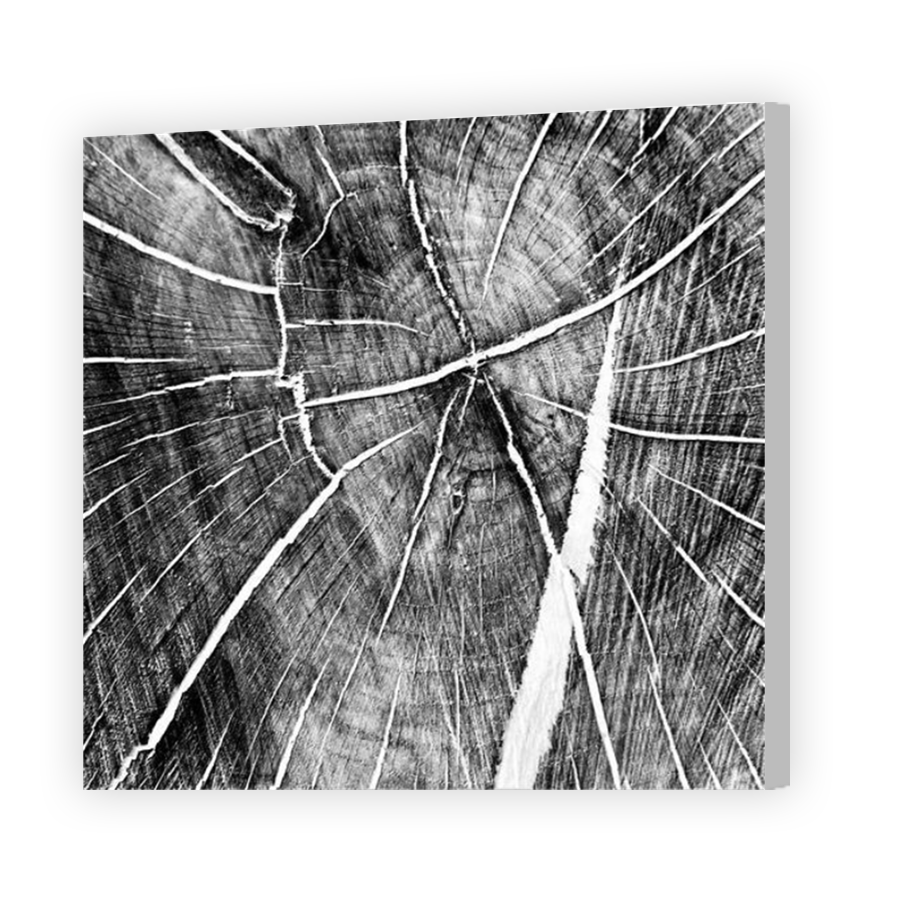 Thumbnail for Canvas - Coloured Canvas Wrap