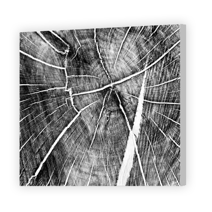 Thumbnail for Canvas - Coloured Canvas Wrap