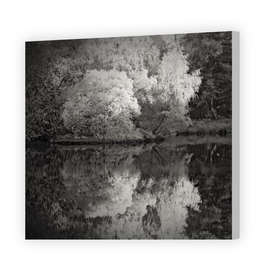 Thumbnail for Canvas - Coloured Canvas Wrap