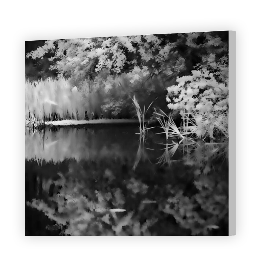 Thumbnail for Canvas - Coloured Canvas Wrap