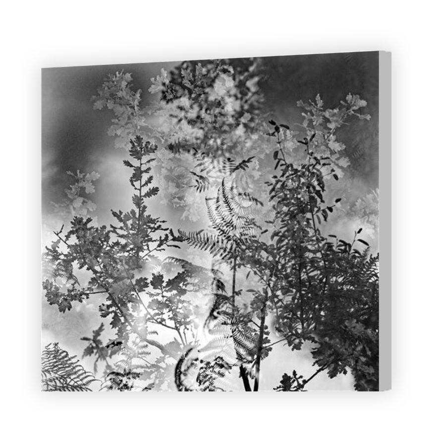 Thumbnail for Canvas - Coloured Canvas Wrap