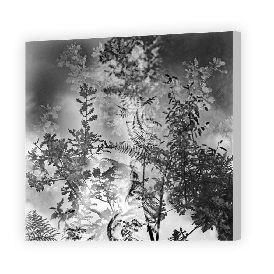 Thumbnail for Canvas - Coloured Canvas Wrap