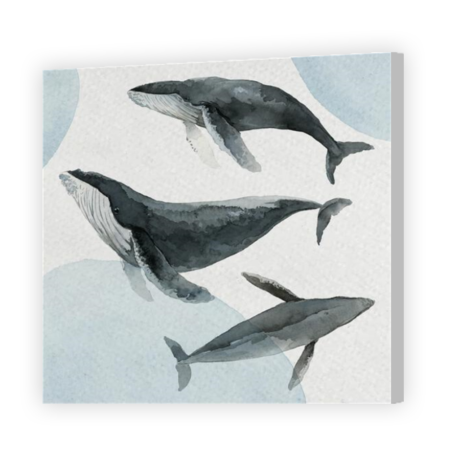 Thumbnail for Canvas - Coloured Canvas Wrap