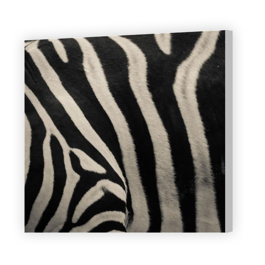 Thumbnail for Canvas - Coloured Canvas Wrap