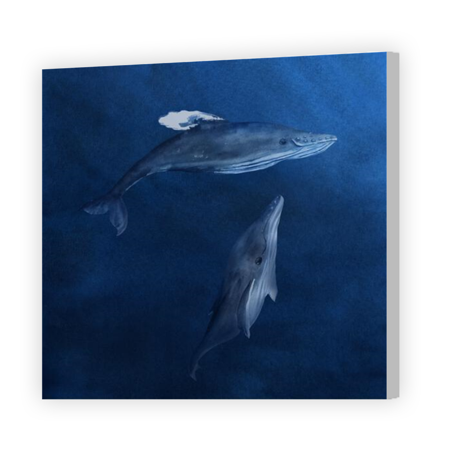 Thumbnail for Canvas - Coloured Canvas Wrap