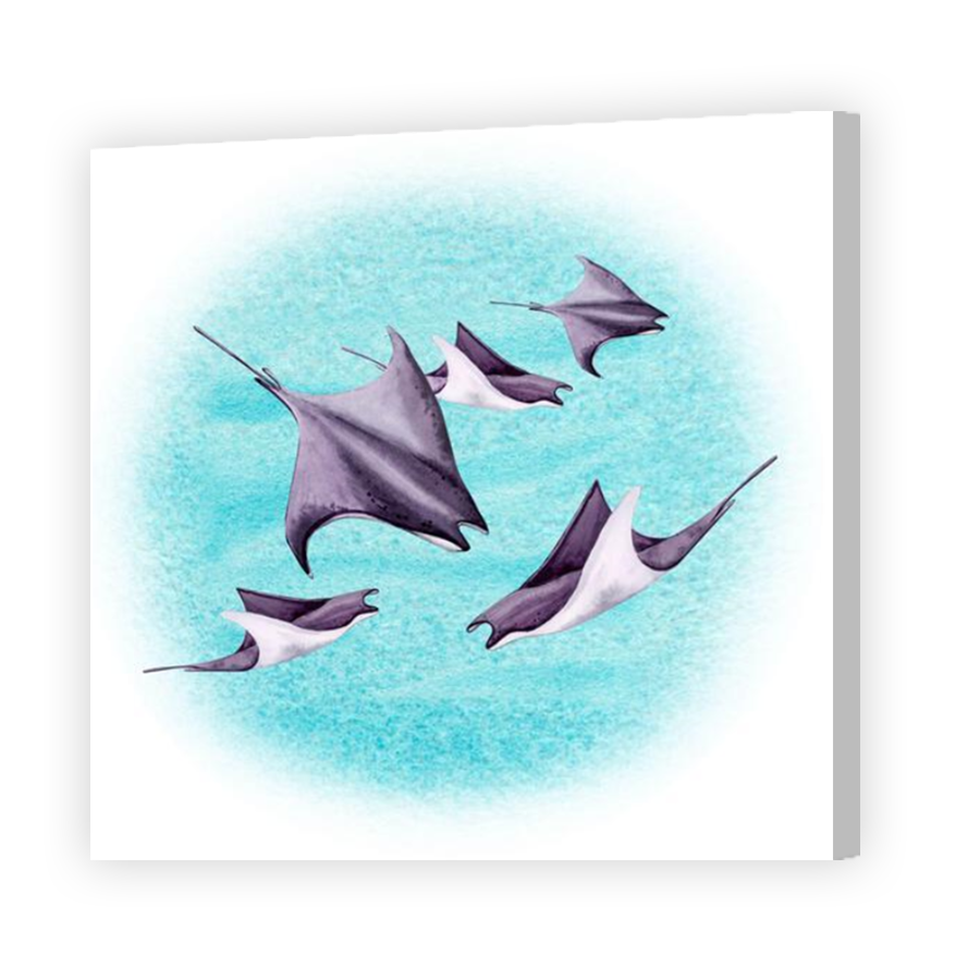Thumbnail for Canvas - Coloured Canvas Wrap