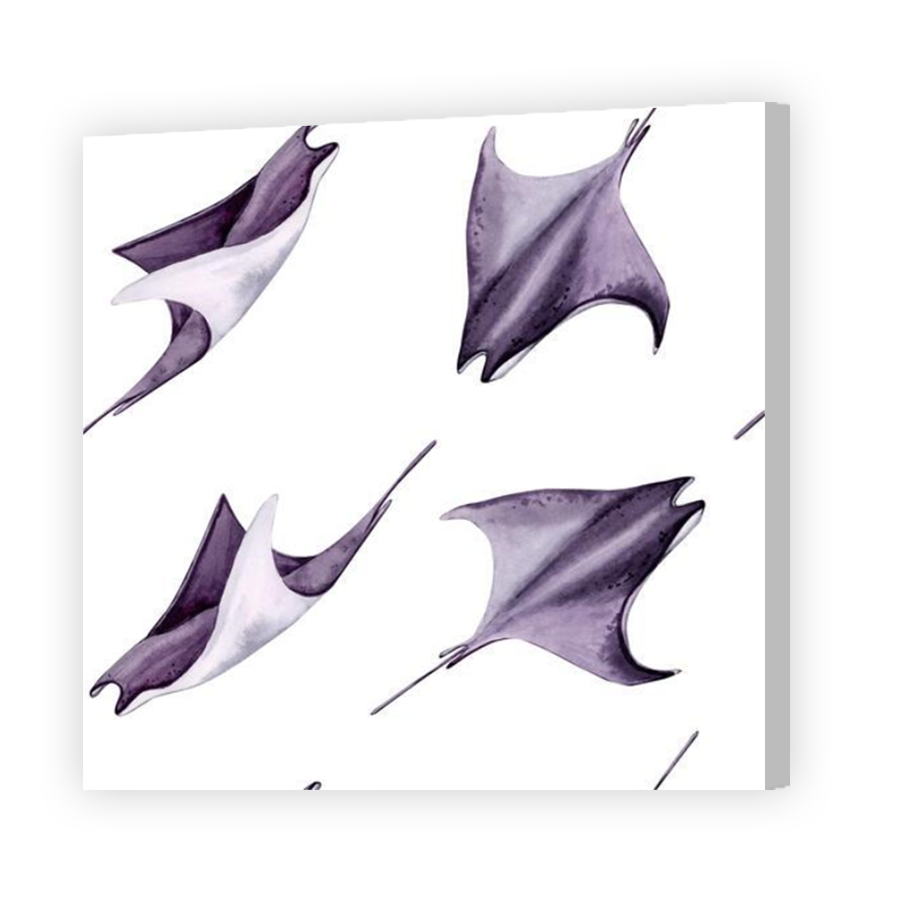 Thumbnail for Canvas - Coloured Canvas Wrap