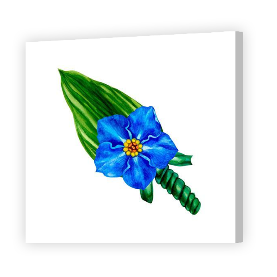 Thumbnail for Canvas - Coloured Canvas Wrap
