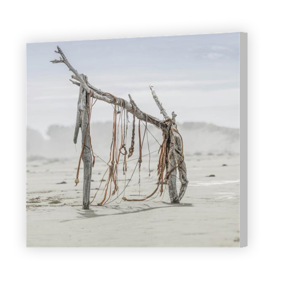 Thumbnail for Canvas - Coloured Canvas Wrap