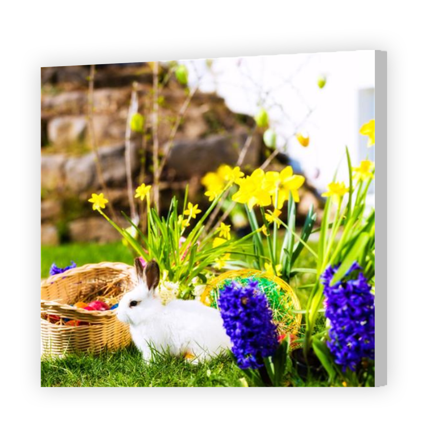 Thumbnail for Canvas - Coloured Canvas Wrap