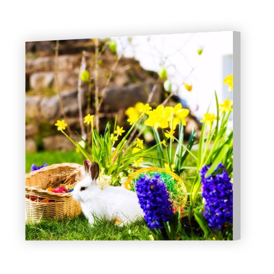 Thumbnail for Canvas - Coloured Canvas Wrap