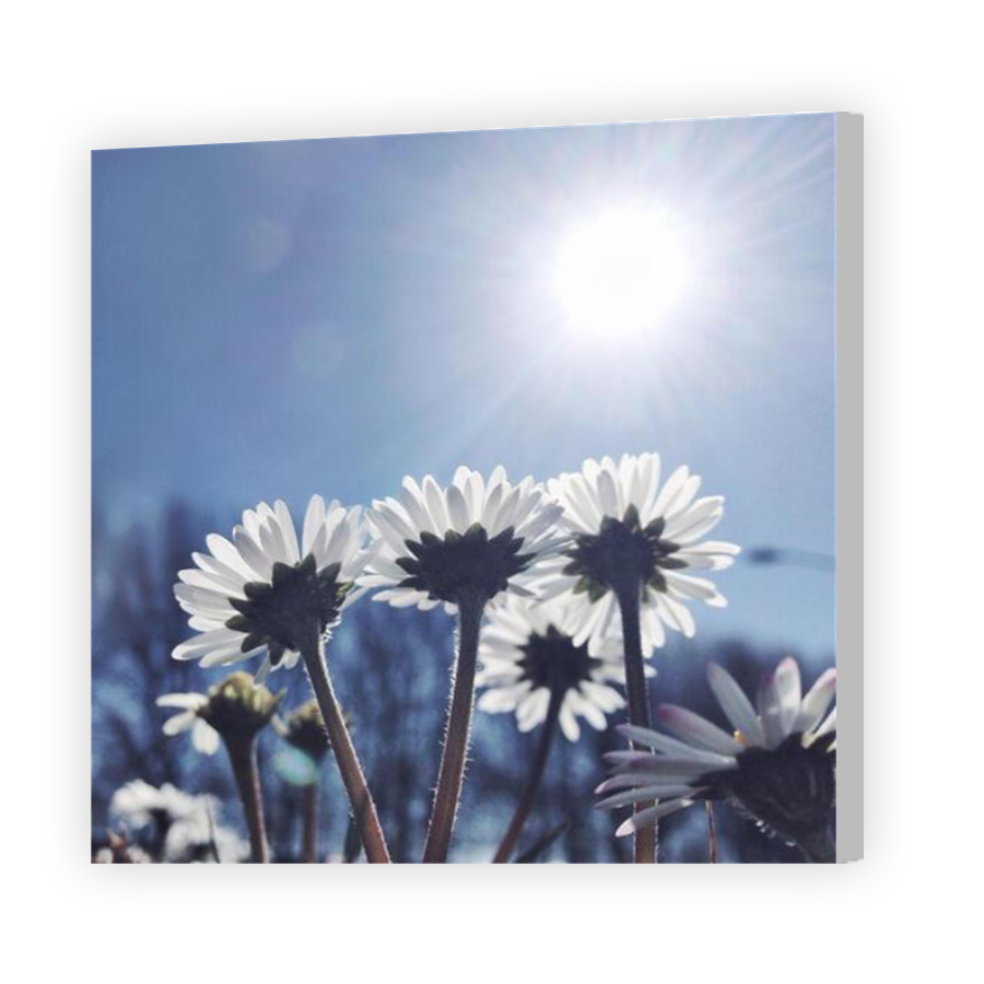 Thumbnail for Canvas - Coloured Canvas Wrap