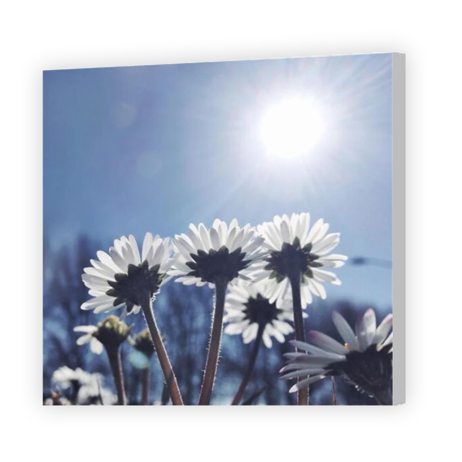 Thumbnail for Canvas - Coloured Canvas Wrap