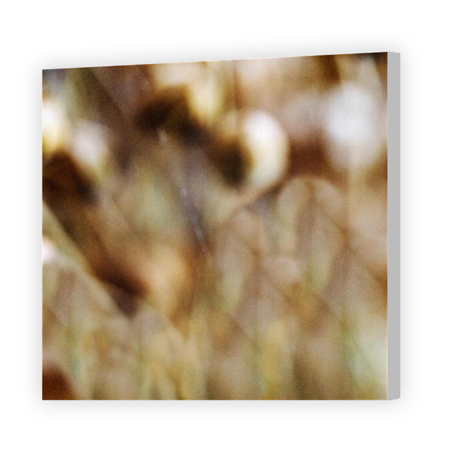 Thumbnail for Canvas - Coloured Canvas Wrap