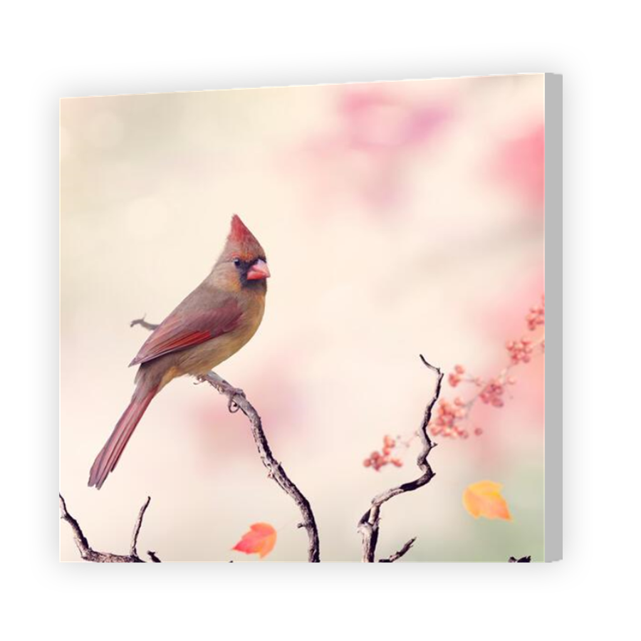 Thumbnail for Canvas - Coloured Canvas Wrap