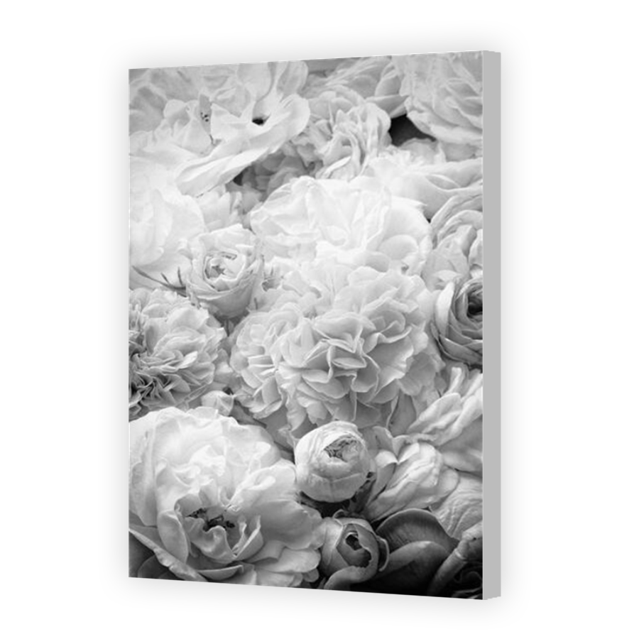 Thumbnail for Canvas - Coloured Canvas Wrap
