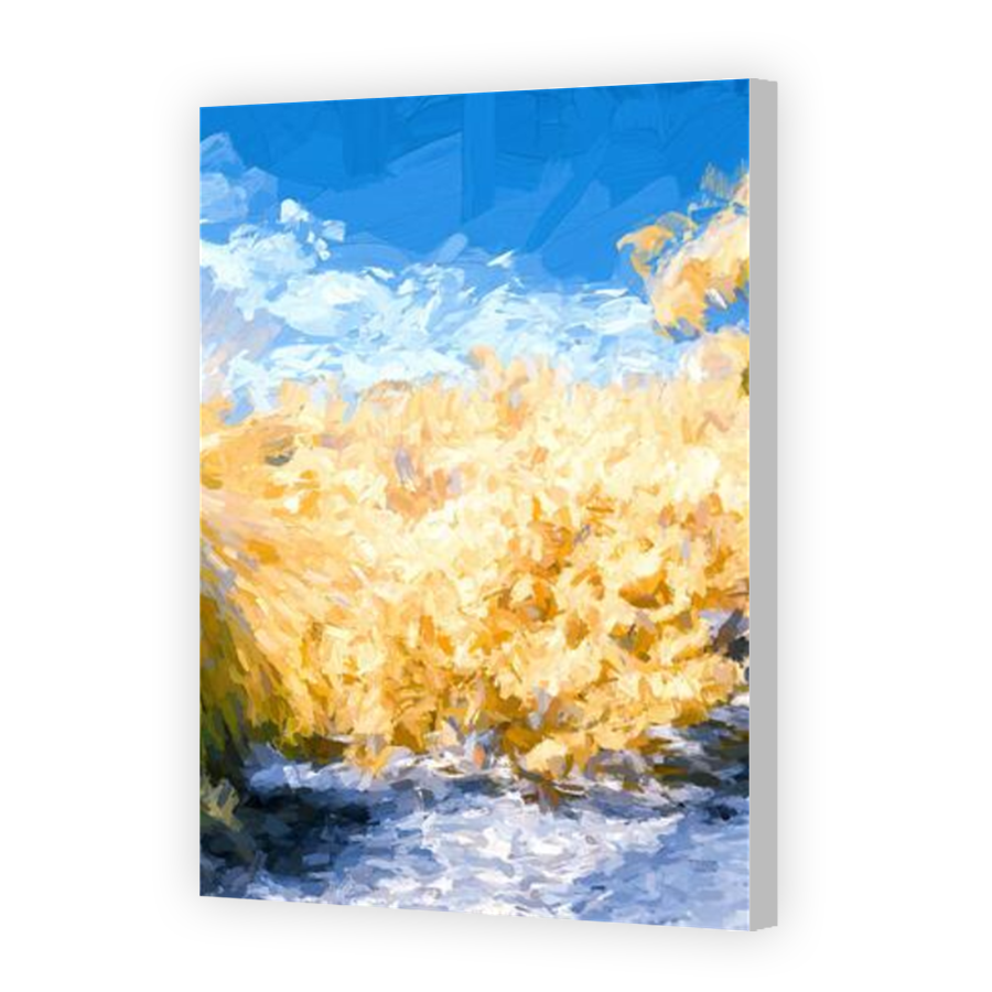 Thumbnail for Canvas - Coloured Canvas Wrap