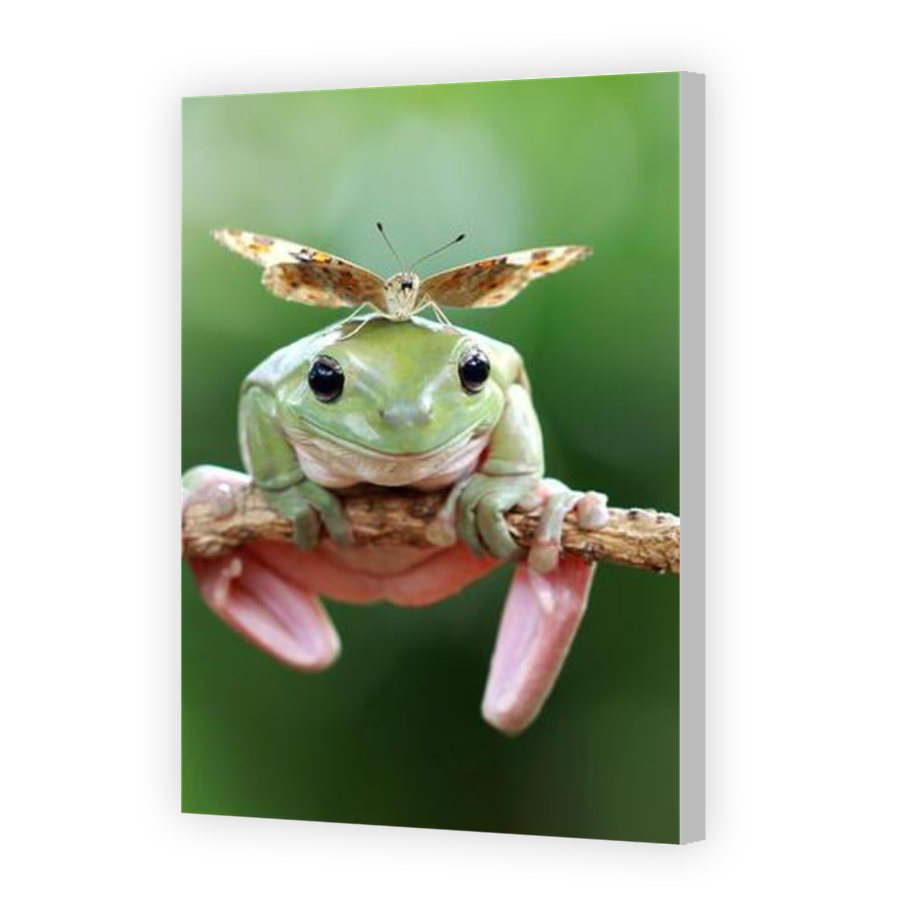 Thumbnail for Canvas - Coloured Canvas Wrap
