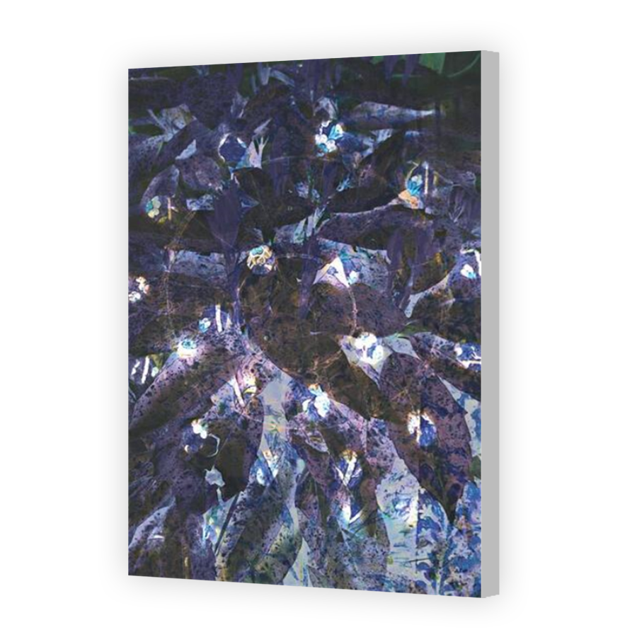 Thumbnail for Canvas - Coloured Canvas Wrap