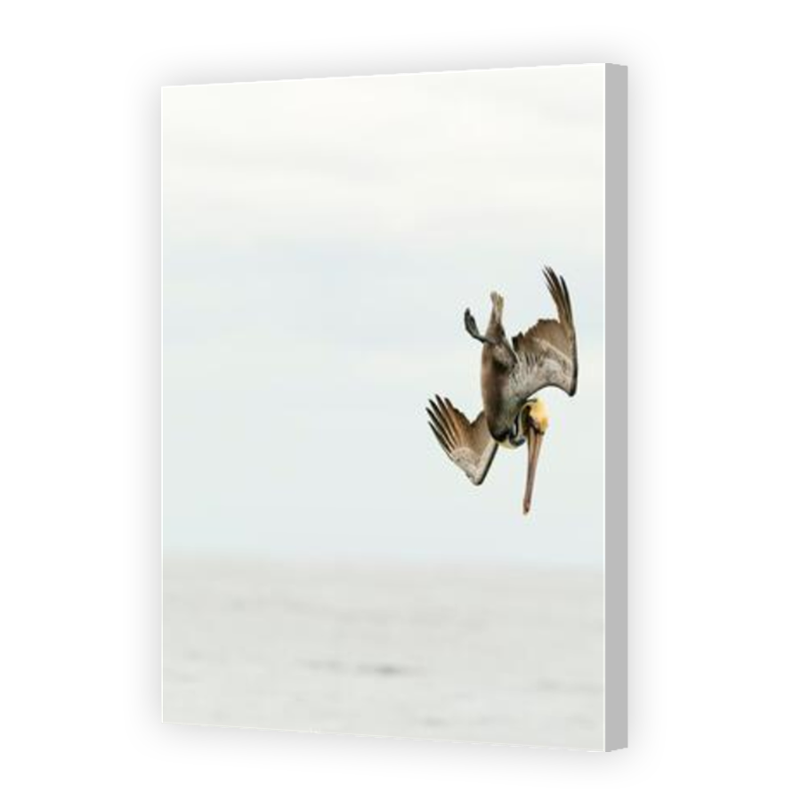 Thumbnail for Canvas - Coloured Canvas Wrap