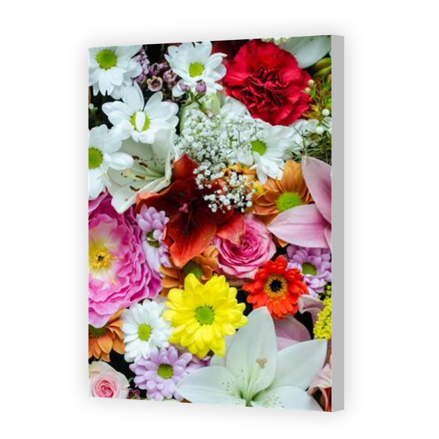 Thumbnail for Canvas - Coloured Canvas Wrap