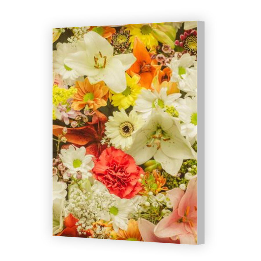 Thumbnail for Canvas - Coloured Canvas Wrap