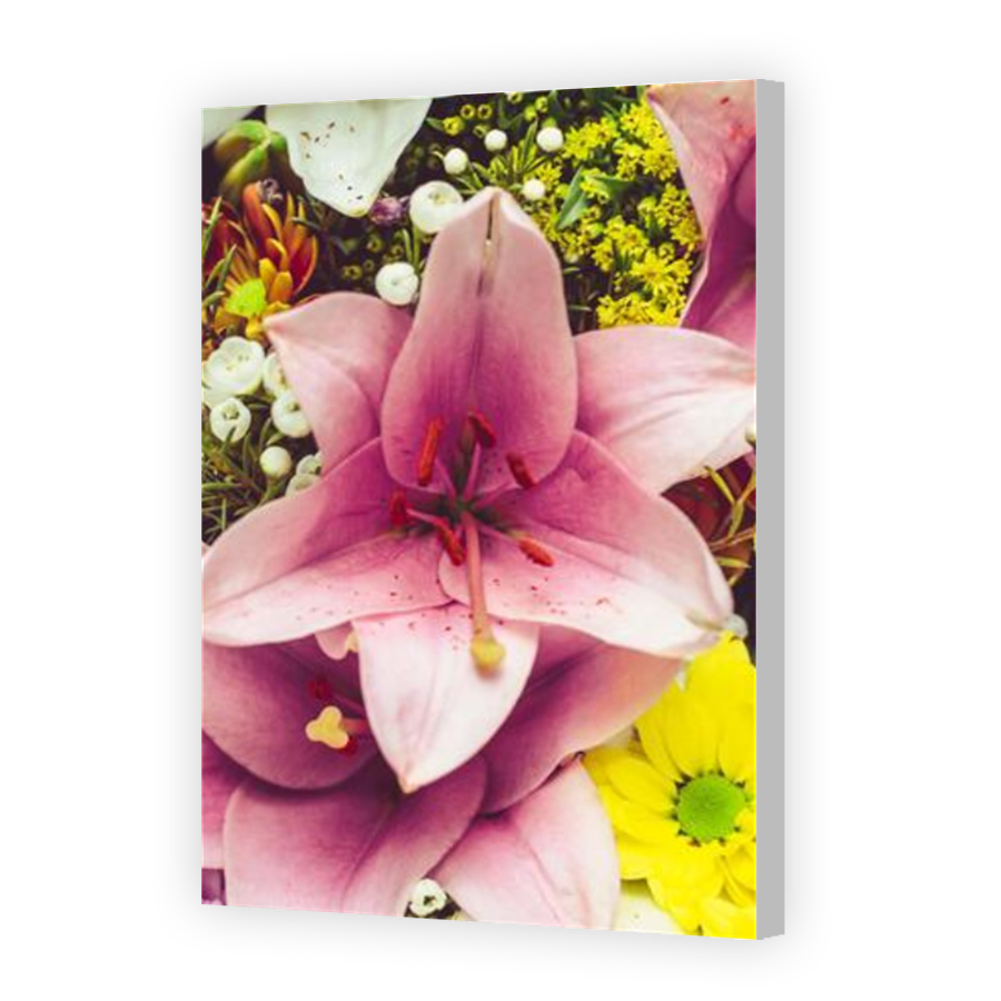 Thumbnail for Canvas - Coloured Canvas Wrap