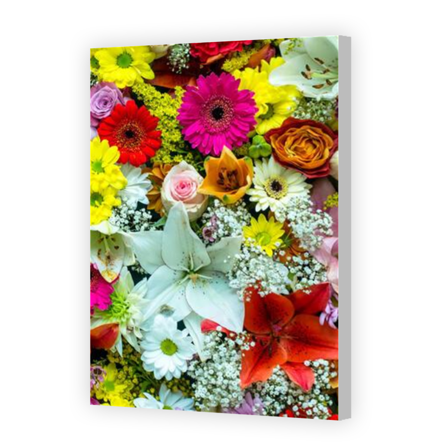 Thumbnail for Canvas - Coloured Canvas Wrap