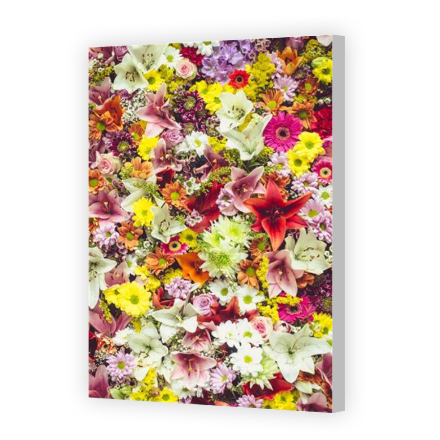 Thumbnail for Canvas - Coloured Canvas Wrap