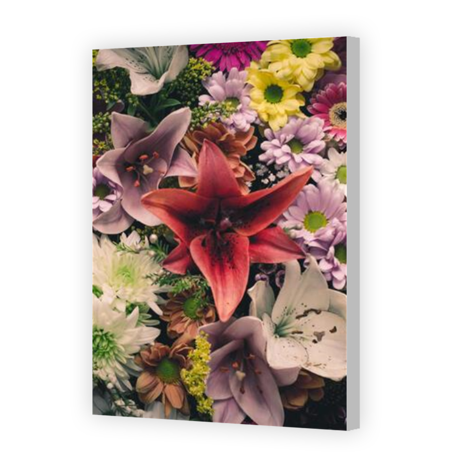Thumbnail for Canvas - Coloured Canvas Wrap
