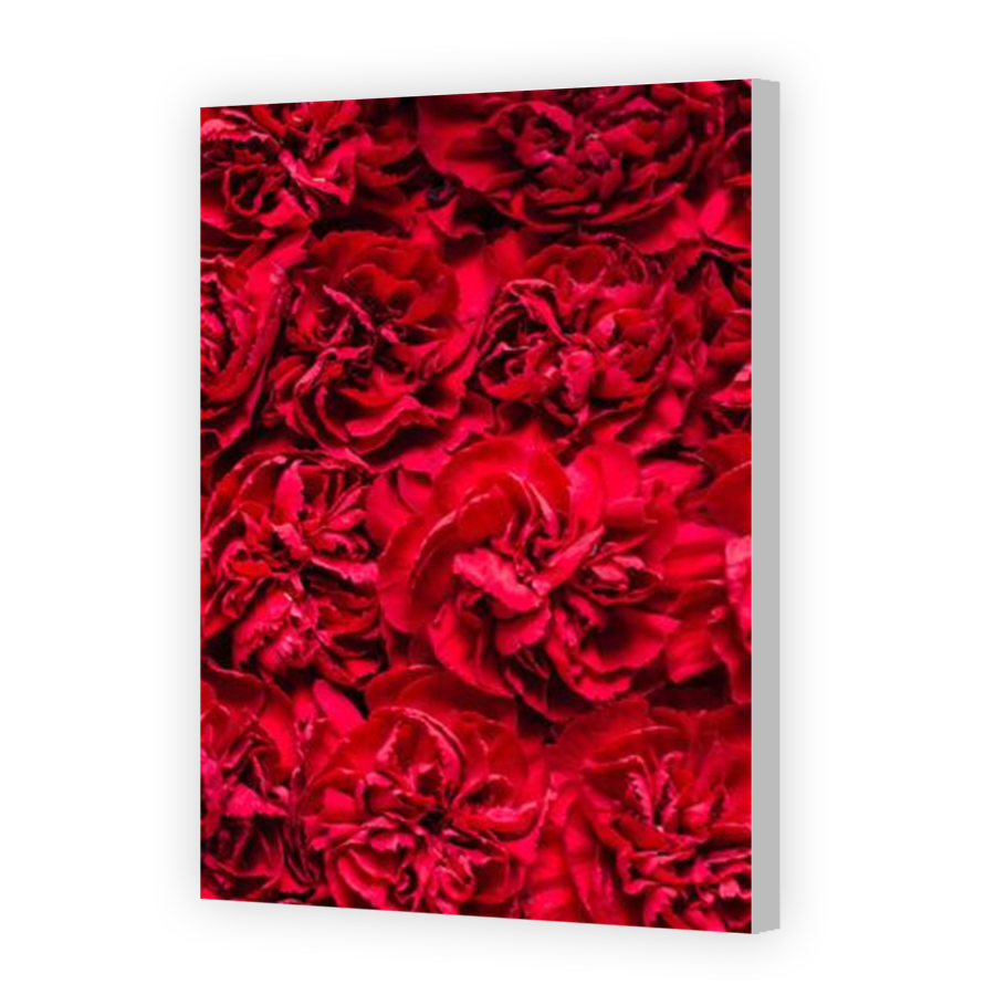 Thumbnail for Canvas - Coloured Canvas Wrap