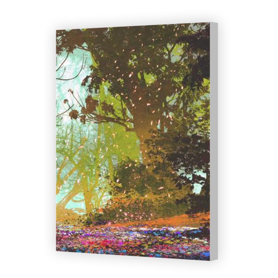 Thumbnail for Canvas - Coloured Canvas Wrap