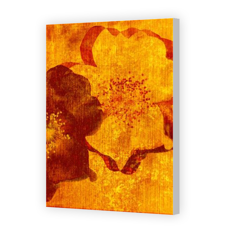 Thumbnail for Canvas - Coloured Canvas Wrap
