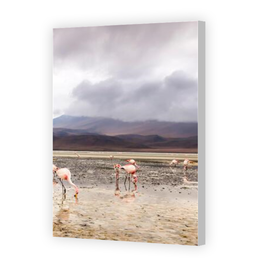 Thumbnail for Canvas - Coloured Canvas Wrap