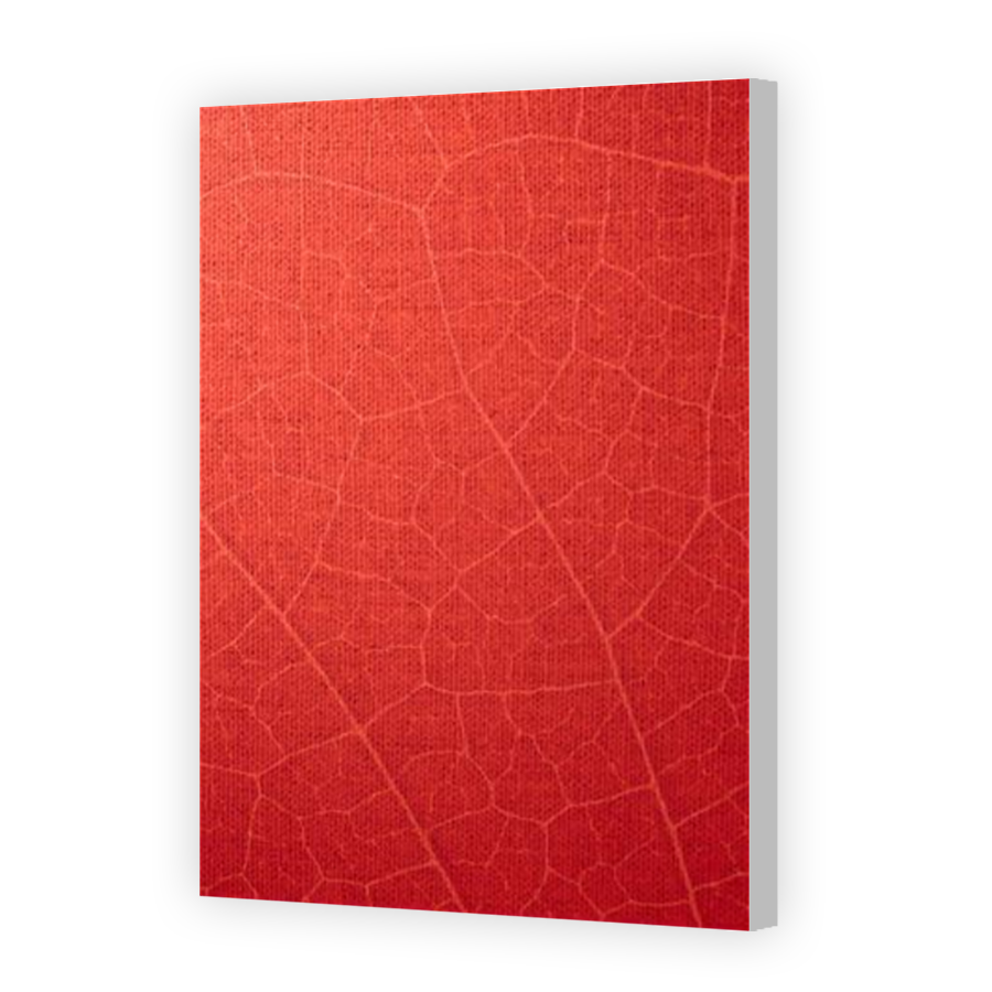 Thumbnail for Canvas - Coloured Canvas Wrap
