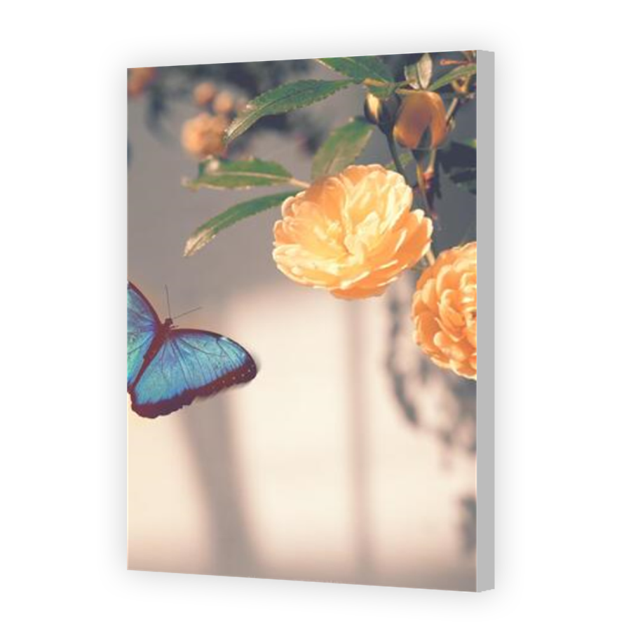 Thumbnail for Canvas - Coloured Canvas Wrap