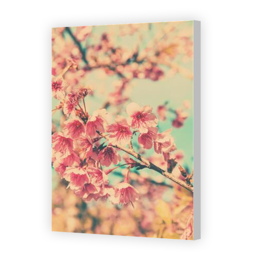 Thumbnail for Canvas - Coloured Canvas Wrap