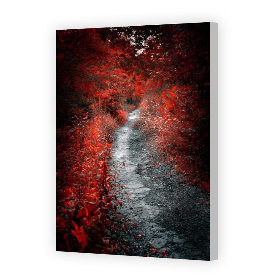 Thumbnail for Canvas - Coloured Canvas Wrap