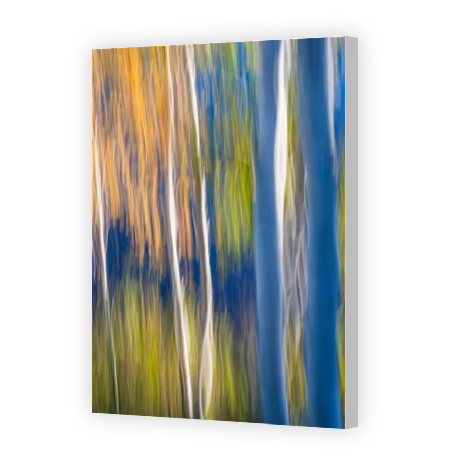 Thumbnail for Canvas - Coloured Canvas Wrap
