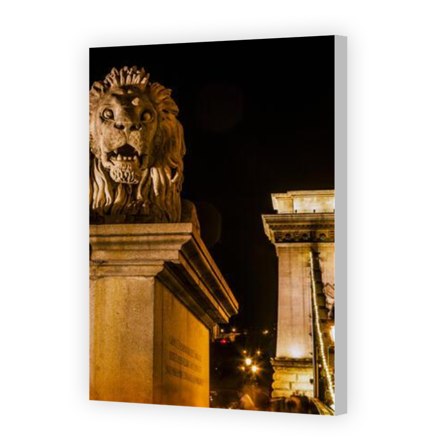 Thumbnail for Canvas - Coloured Canvas Wrap