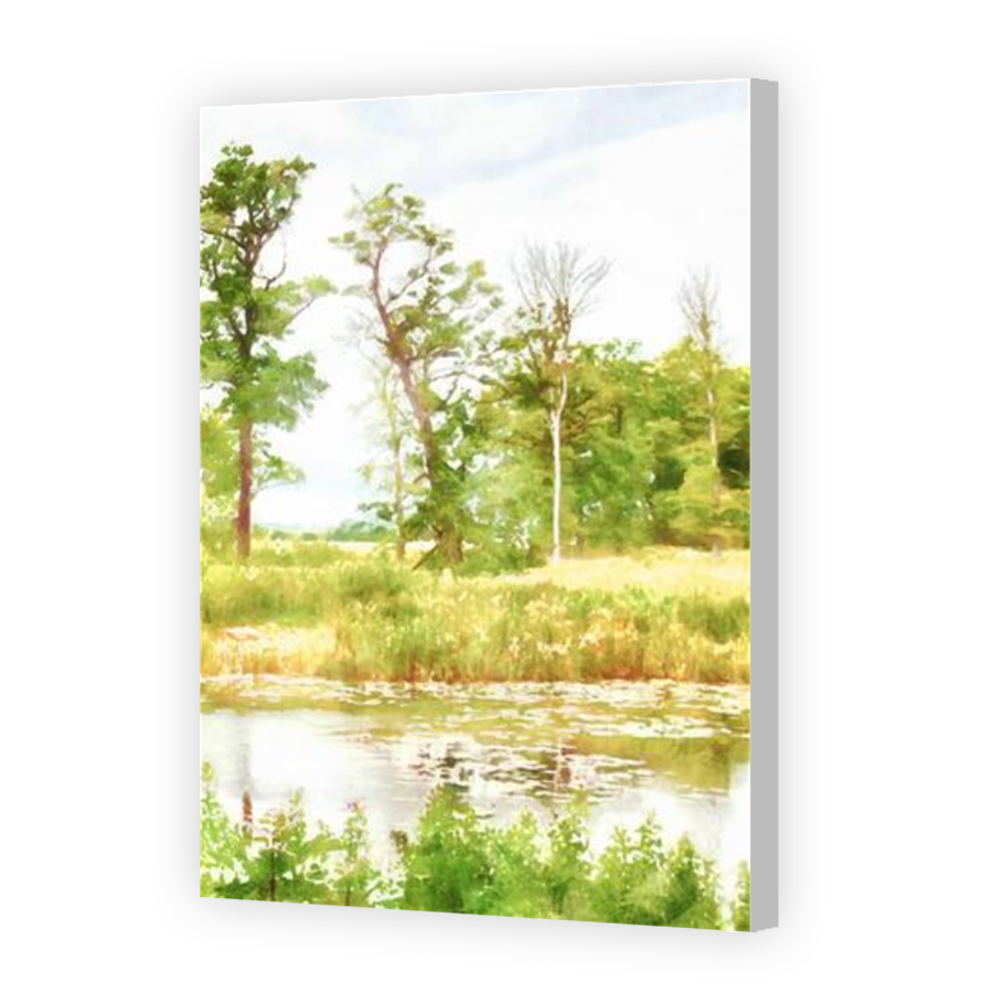 Thumbnail for Canvas - Coloured Canvas Wrap