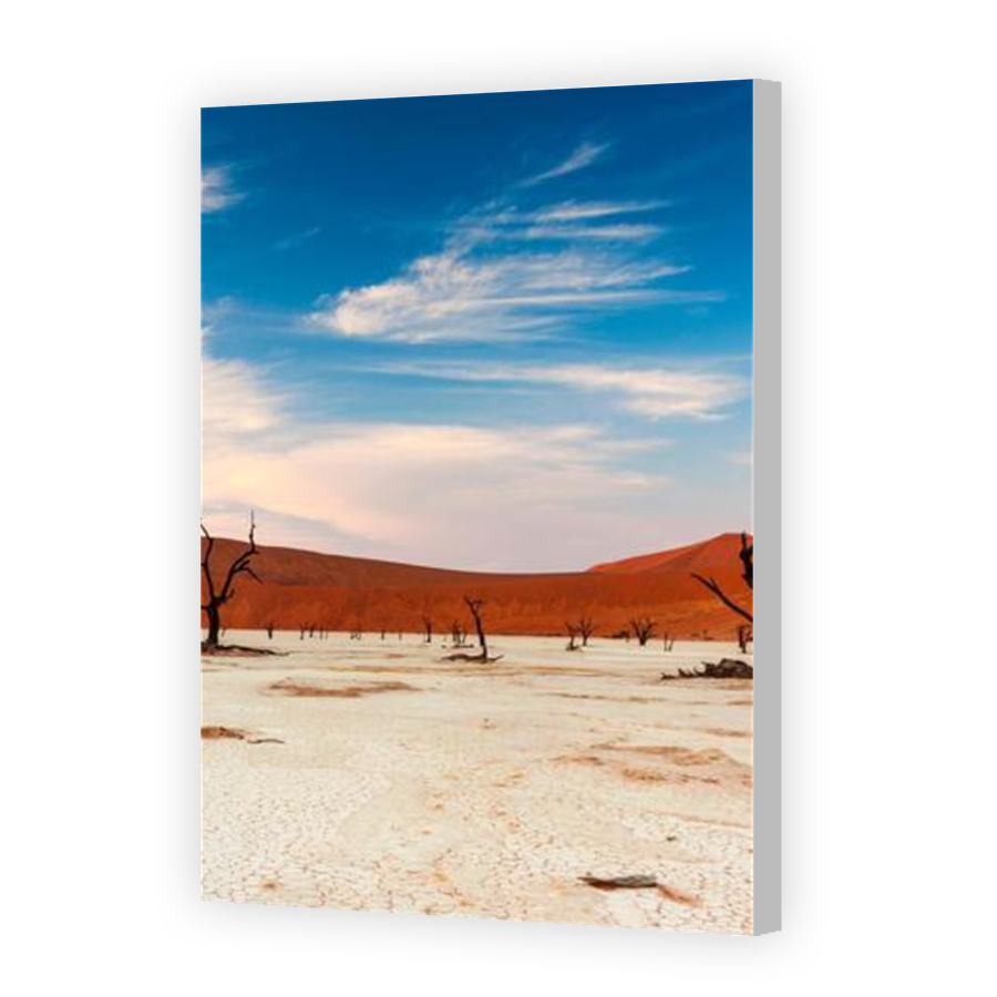 Thumbnail for Canvas - Coloured Canvas Wrap
