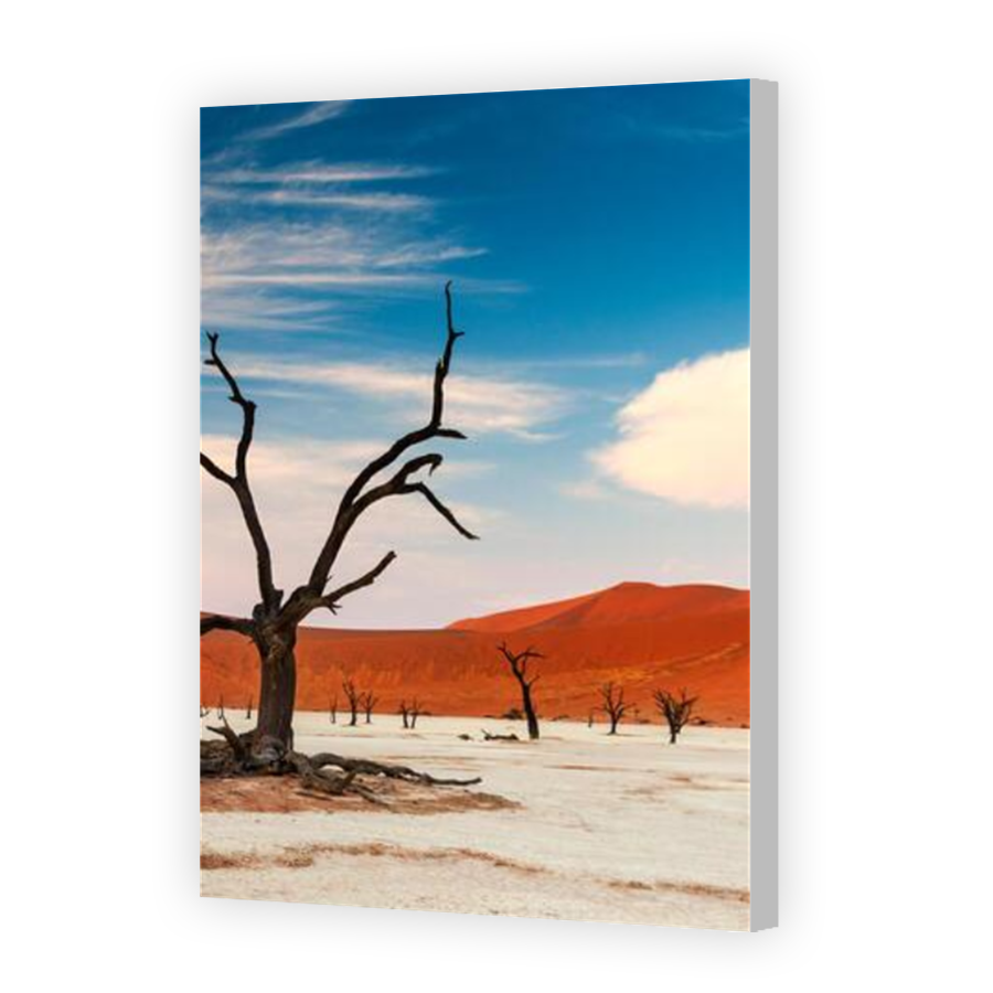 Thumbnail for Canvas - Coloured Canvas Wrap