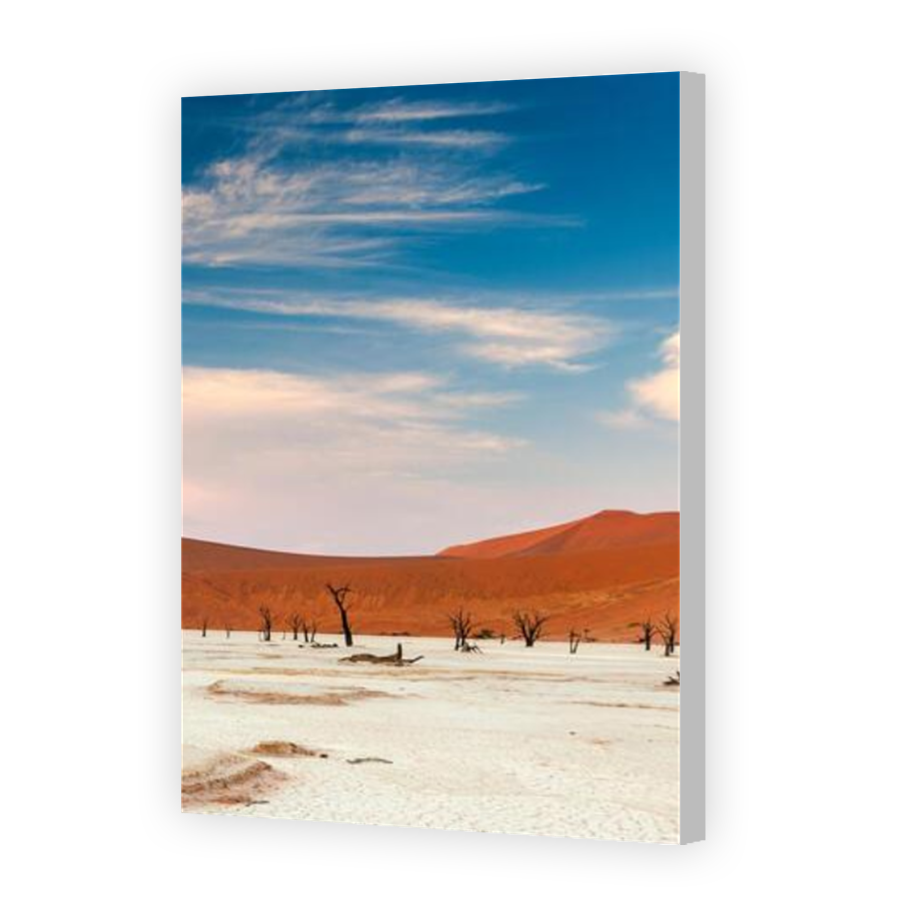 Thumbnail for Canvas - Coloured Canvas Wrap